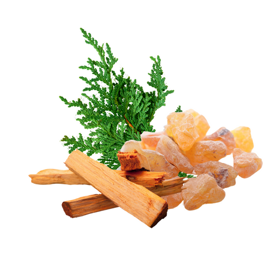 Aroma Fusions - Alegra