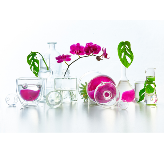 Aroma Advice Services