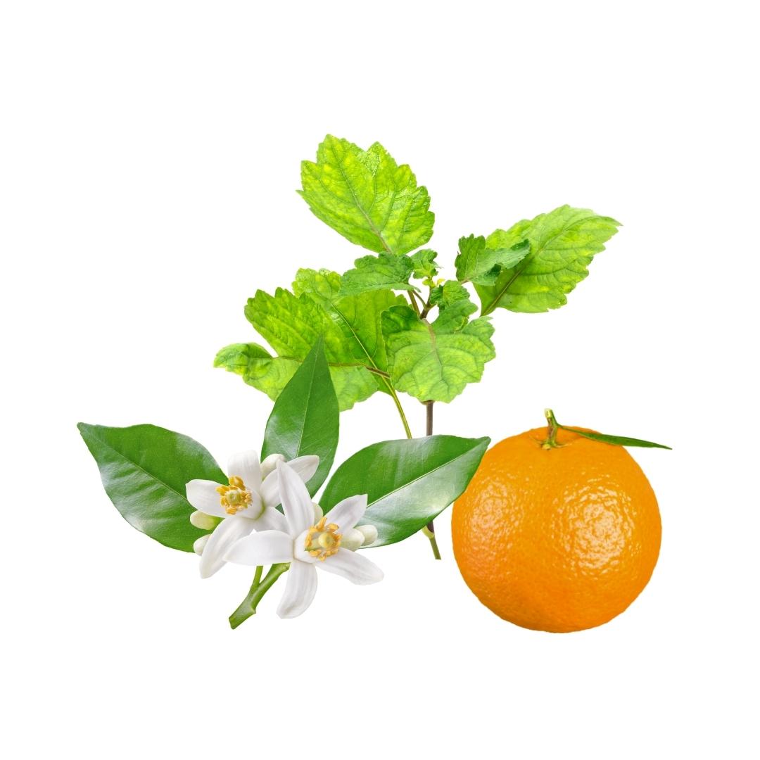 Aroma Fusions Essential Oil Blends wholesale