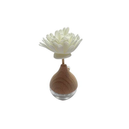 Aire Car Diffuser Gift Set