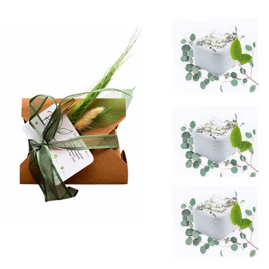 Botanical Shower Steamers - Focus