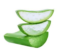 Alo Derma Jelly