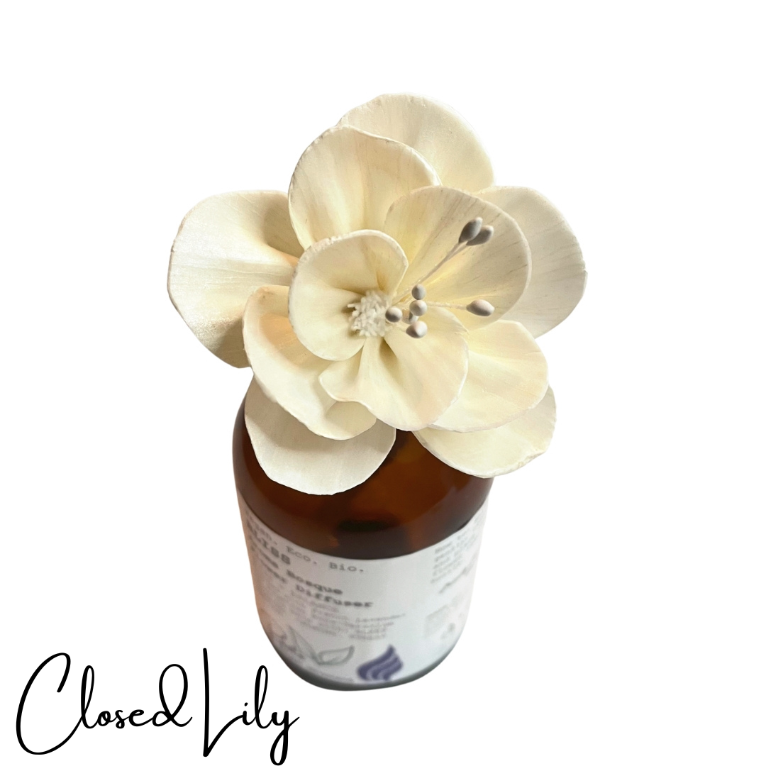 Flower Bosque Diffuser Reeds