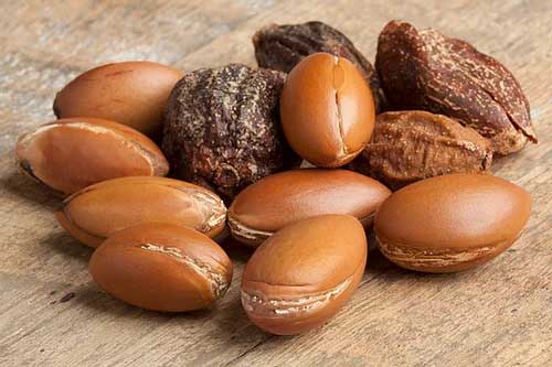 Organic Moroccan Argan Oil
