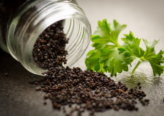 Indian Black Peppercorn Essential Oil