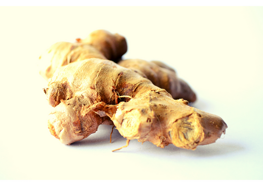 Sri Lankan Ginger Essential Oil