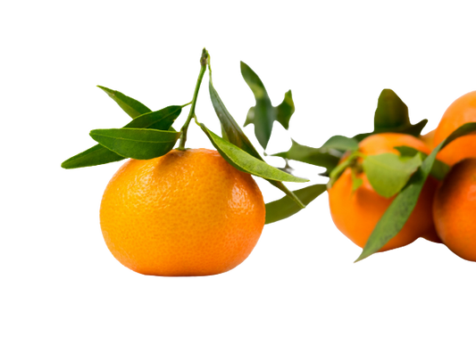 Italian Mandarin Essential Oil