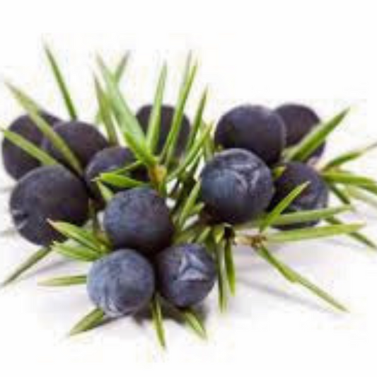 Restoration Oil Treatment - Detox