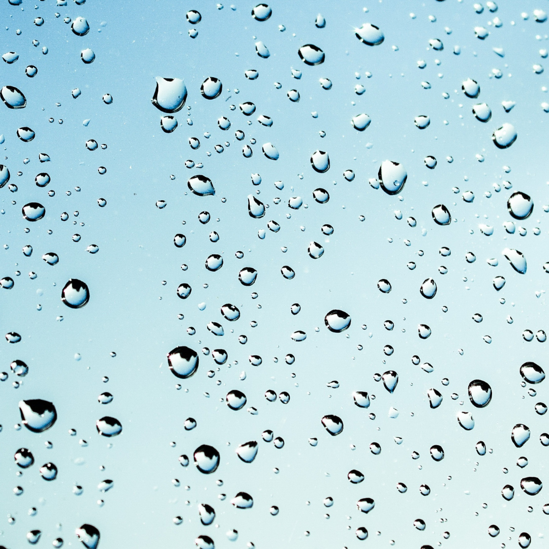 Organic Hydrosols wholesale