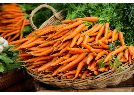 French Carrot Seed Essential Oil